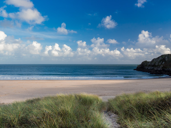 Barafundle Beach, Pembrokeshire, Wales. Picture Board by Colin Allen