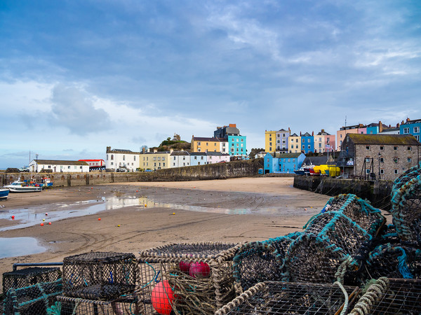 Tenby Harbour, Pembrokeshire, Wales. Picture Board by Colin Allen