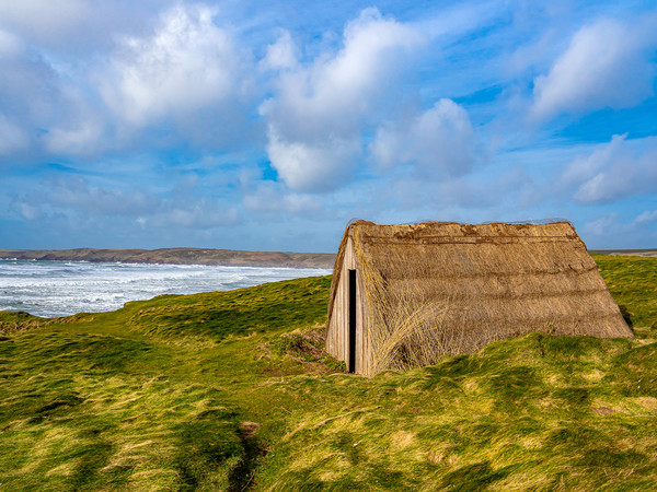 Freshwater West Seaweed Drying Hut, Pembrokeshire. Picture Board by Colin Allen