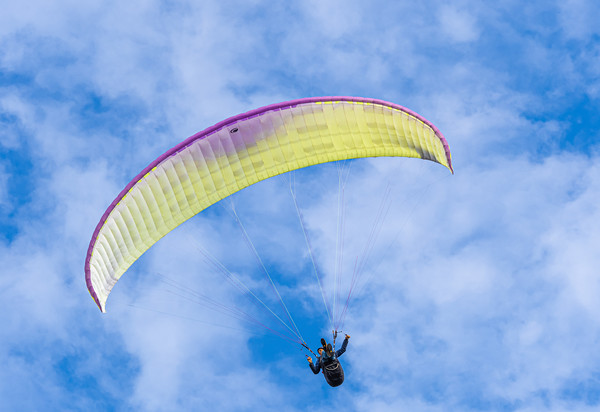 Paragliding at Newgale in Pembrokeshire, Wales. Picture Board by Colin Allen