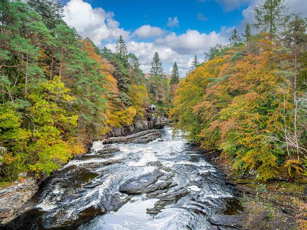 Invermoriston Falls, Highlands, Scotland. Picture Board by Colin Allen