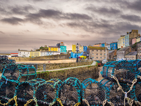 Tenby Harbour, Pembrokeshire, Wales. Picture Board by Colin Allen