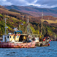 Buy canvas prints of Fishing Boats at Ullapool, Scotland. by Colin Allen