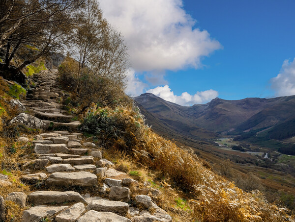 The Path to Ben Nevis, Scotland.  Picture Board by Colin Allen