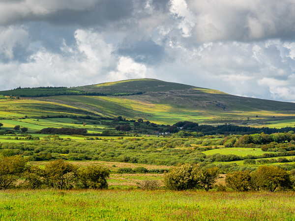 Preseli Hills, Pembrokeshire, Wales. Picture Board by Colin Allen