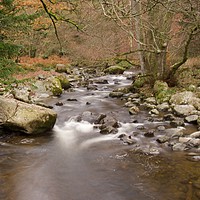 Buy canvas prints of Autumn at Aira Beck by Jennifer Farley