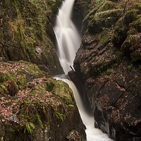 Buy canvas prints of Autumn at Aira Force by Jennifer Farley