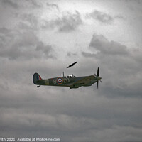 Buy canvas prints of Spitfire on a cloudy day with birds flying alongside by Ryan Smith