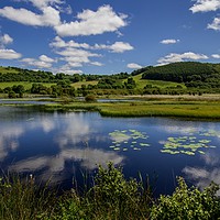 Buy canvas prints of Lillypads and Clouds, Cors Caron, Ceredigion Wales by Jenny Dignam