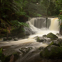 Buy canvas prints of Horseshoe Falls, Mt Field National Park, Tasmania  by Jenny Dignam