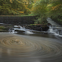 Buy canvas prints of Yarrow Valley Park, Chorley, Lancashire by Simon Booth