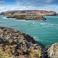 Buy canvas prints of Calf of Man by George Hopkins