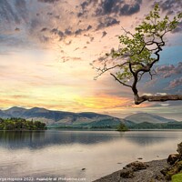 Buy canvas prints of Otterbield Bay at Derwent Water. by George Hopkins