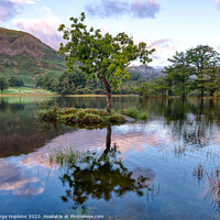 Buy canvas prints of Rydal Tree at Sunrise version 2 by George Hopkins