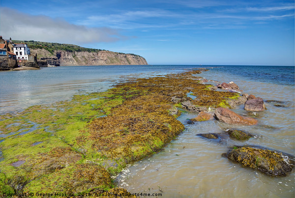 Summer at Robin Hood Bay Picture Board by George Hopkins
