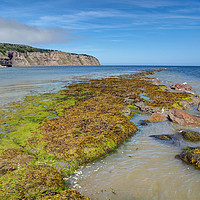 Buy canvas prints of Summer at Robin Hood Bay by George Hopkins