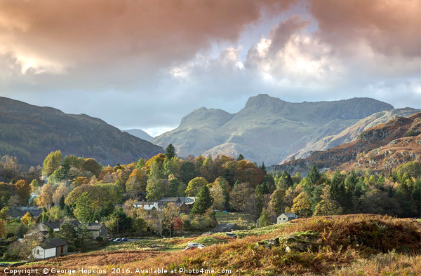 Autumn Trees at Elterwater towards Lansdale Pikes Picture Board by George Hopkins