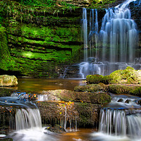 Buy canvas prints of Scaleber Force in Summer Coat by George Hopkins