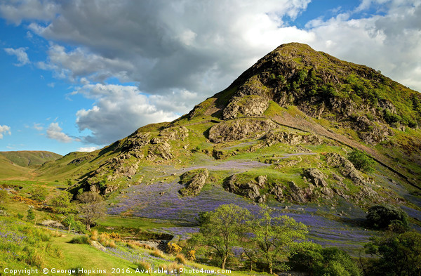 The Bluebells of Rannerdale Picture Board by George Hopkins