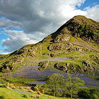 Buy canvas prints of The Bluebells of Rannerdale by George Hopkins