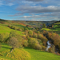 Buy canvas prints of Swaledale Autumn in the Yorkshire Dales by George Hopkins