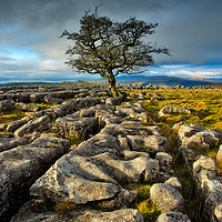 Buy canvas prints of The Lone Tree on the Stones by George Hopkins