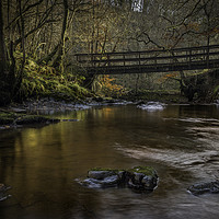 Buy canvas prints of The little bridge on the way to Sgwd Gwladys / Lad by Bryn Morgan