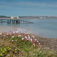 Buy canvas prints of Mumbles pier with Pinks in the foreground. by Bryn Morgan