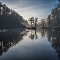 Buy canvas prints of Reflections of a tree at Penllergaer woods. by Bryn Morgan
