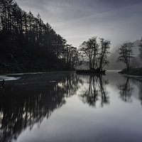 Buy canvas prints of Reflections at Penllergaer woods. by Bryn Morgan