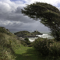 Buy canvas prints of Windswept tree with Mumbles lighthouse.  by Bryn Morgan