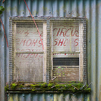 Buy canvas prints of Old circus poster in barn window. by Bryn Morgan