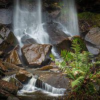 Buy canvas prints of Melincourt waterfall with fern in foreground. by Bryn Morgan