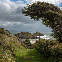 Buy canvas prints of Mumbles lighthouse framed by tree. by Bryn Morgan