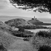 Buy canvas prints of Mumbles lighthouse, black and white by Bryn Morgan