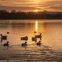 Buy canvas prints of Cosmeston lake at sunset by Bryn Morgan