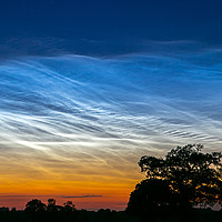 Buy canvas prints of NOCTILUCENT by Steve Lansdell