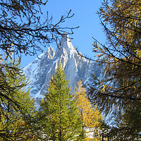 Buy canvas prints of   The Dru Chamonix French Alps                     by alan todd