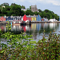 Buy canvas prints of Tobermory Bay                               by alan todd