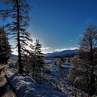 Buy canvas prints of     Winters day in glen Muick                      by alan todd