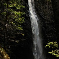 Buy canvas prints of The Plodda Falls Glen Affric by alan todd