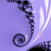 Buy canvas prints of Purple Lace by Vickie Fiveash