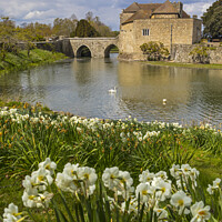 Buy canvas prints of The Moat of Leeds Castle in Kent, UK by Chris Dorney