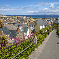 Buy canvas prints of St. Ives in Cornwall, UK by Chris Dorney