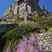 Buy canvas prints of Castle Gardens at St. Michaels Mount in Cornwall,  by Chris Dorney