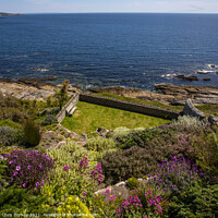 Buy canvas prints of Castle Gardens at St. Michaels Mount in Cornwall, UK by Chris Dorney