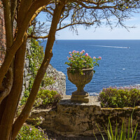 Buy canvas prints of View from the Castle Gardens at St. Michaels Mount in Cornwall by Chris Dorney
