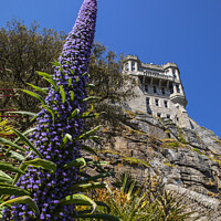 Buy canvas prints of Castle and Gardens at St. Michaels Mount in Cornwall by Chris Dorney