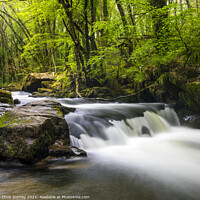 Buy canvas prints of Cascade at Golitha Falls in Cornwall, UK by Chris Dorney