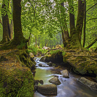 Buy canvas prints of Stream off of the River Fowey in Cornwall, UK by Chris Dorney